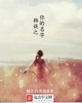 中国骑兵电视剧免费版