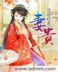 出轨沦陷之官场美妇