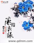 h动漫肉嫁