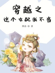 老年同性恋小说