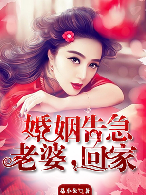 特工皇后太狂野