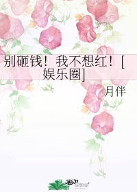 薄凉小说