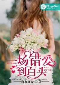 衰姐们第一季未删减免费观看