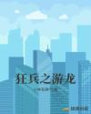 上门龙婿