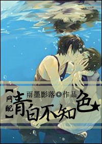 91视频一区二区