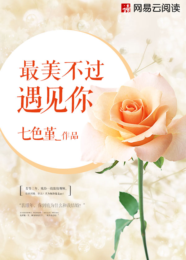 乔枫李婷十四章