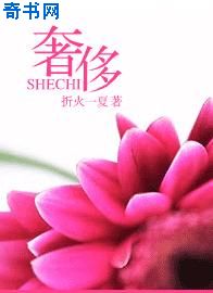 混沌帝龙