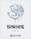民国奇探 电视剧免费观看