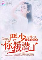 红高粱app
