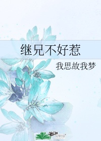 都市情缘目录