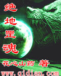 菠萝小说