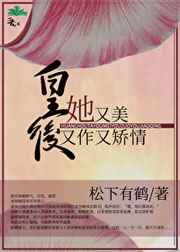 红楼炮灰攻略