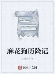神偷大盗