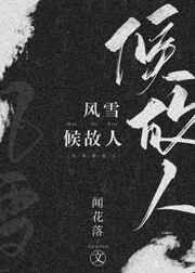 谎言背后电视剧完整版