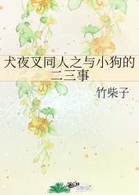 成版人黄快手短视频app下载