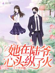 战神医婿