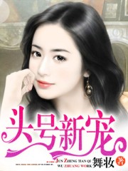 侠盗猎车怎么开挂手机版