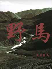 山河月明一共多少集