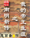 流氓高手txt
