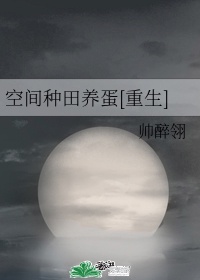 海贼王本子合集