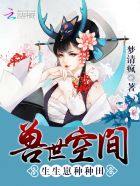 龙腾小说h