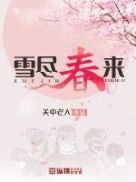 双龙夺凤
