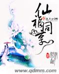 石榴视频app下载