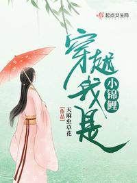 娘道电视剧全集免费76