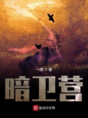 星汉灿烂幸甚至哉TXT