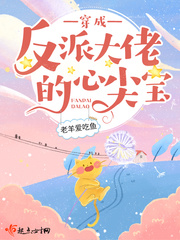 gogo全站高清专业摄像