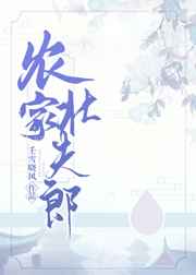 seselu.com