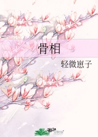 慕枫的小说