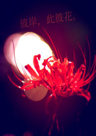 美人如画电影