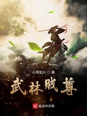 飞天大盗第二季