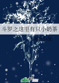 自制飞机杯教程