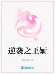 宝葫芦的秘密主要内容
