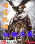 花何尚综合