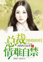女士不遮阴小内搭图片