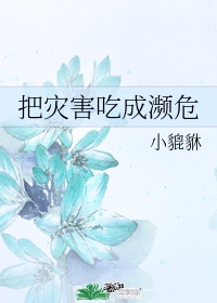 祥仔视觉2024访问更新