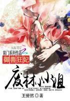 手机理论动漫免费观看