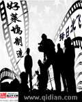 宫锁珠帘百合