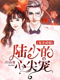 少帅电视剧免费播放
