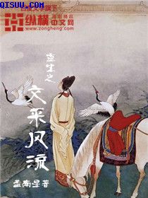 徐锦江无敌风火完全版