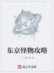 燃气壁挂炉