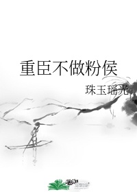 城市猎人小说