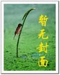 午夜高清直播在线观看