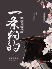 猫咪视频APP