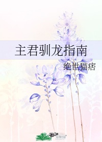 乡村无敌小兽医小说