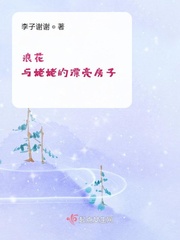路面砖