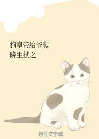 达速电影动漫网